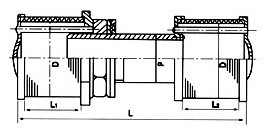 Double-headed pipe nozzles strainer